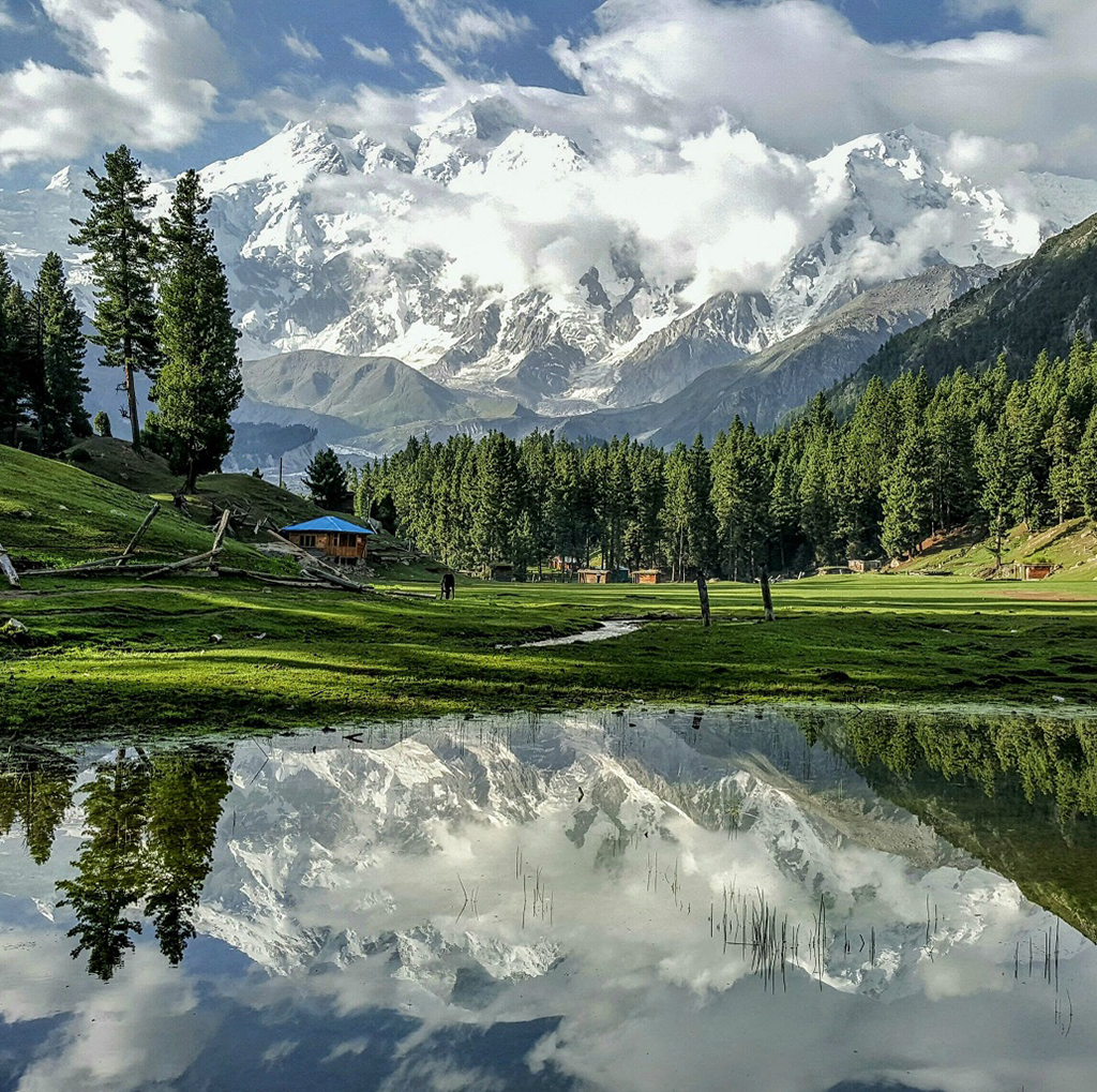 Fairy Meadows