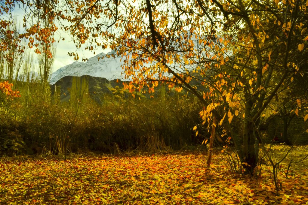 Khaplu Fort